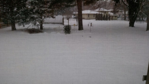 wp-1459784494471 image